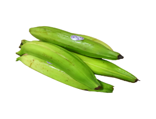 Fresh Plantain- Green 50lbs